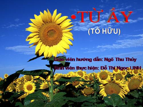 Tuần 24. Từ ấy