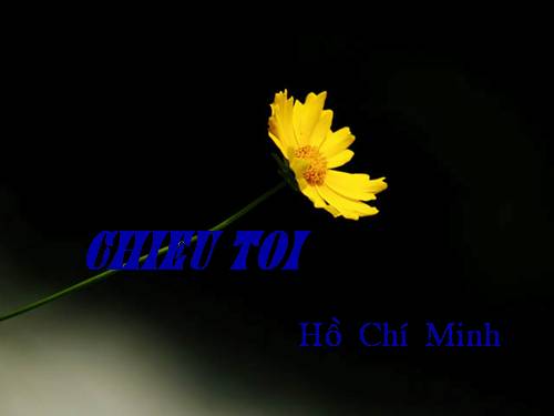 Tuần 23. Chiều tối (Mộ)