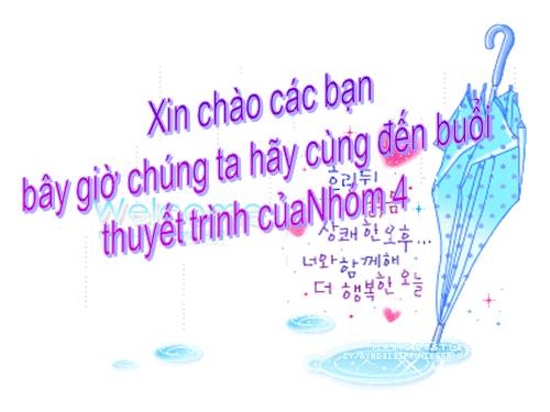 Tuần 12. Hạnh phúc của một tang gia