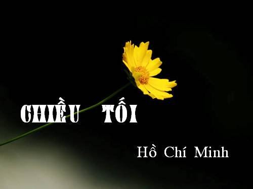 Tuần 23. Chiều tối (Mộ)