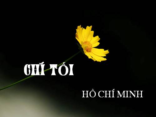 Tuần 23. Chiều tối (Mộ)