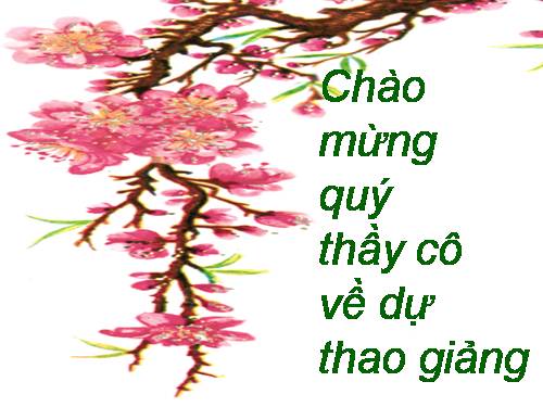 Tuần 11. Chữ người tử tù