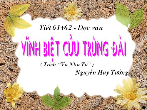 Tuần 16. Vĩnh biệt Cửu Trùng Đài