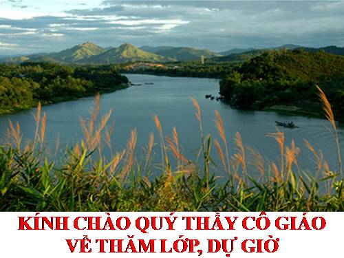 Tuần 25. Đặc điểm loại hình của Tiếng Việt