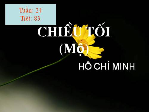 Tuần 23. Chiều tối (Mộ)