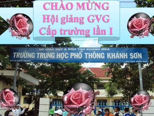 Tuần 28. Người cầm quyền khôi phục uy quyền