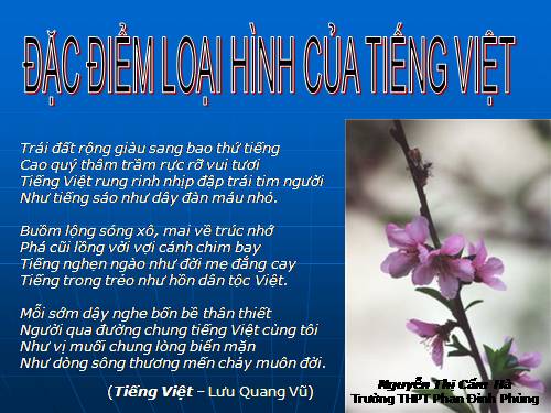 Tuần 25. Đặc điểm loại hình của Tiếng Việt