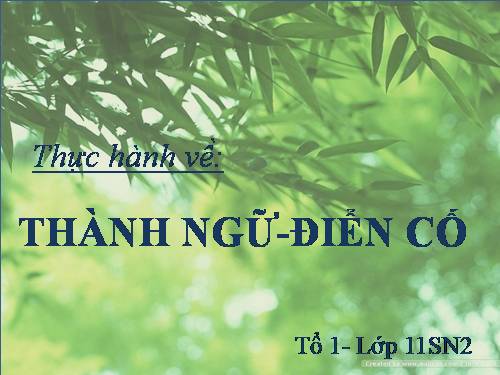 Tuần 6. Thực hành về thành ngữ, điển cố