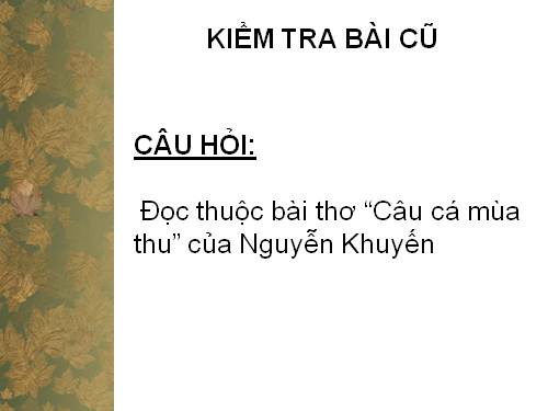 Tuần 3. Thương vợ.