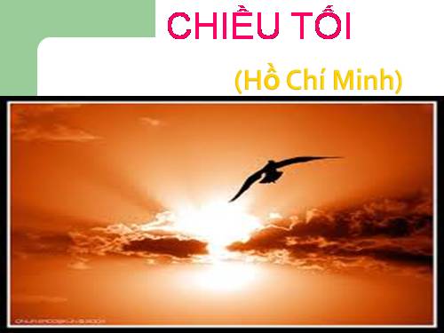 Tuần 23. Chiều tối (Mộ)