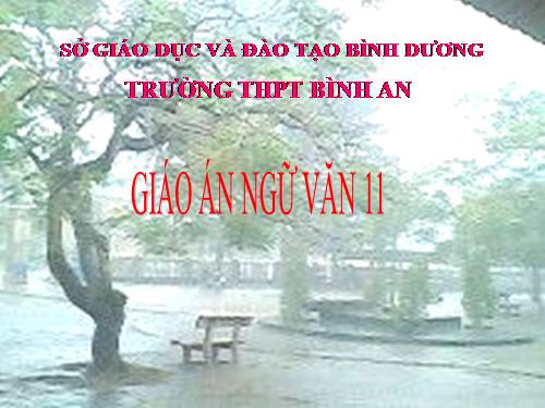 Tuần 14. Bản tin