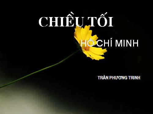 Tuần 23. Chiều tối (Mộ)