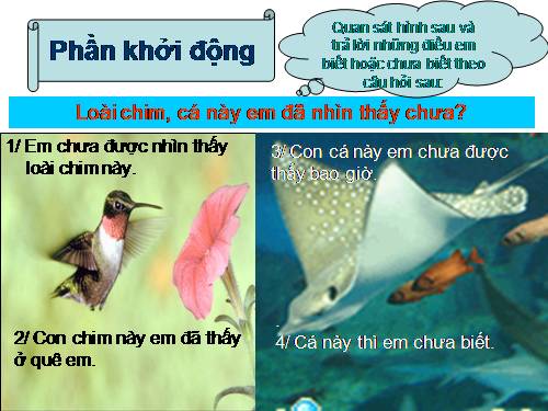 Tuần 16. Thực hành về sử dụng một số kiểu câu trong văn bản