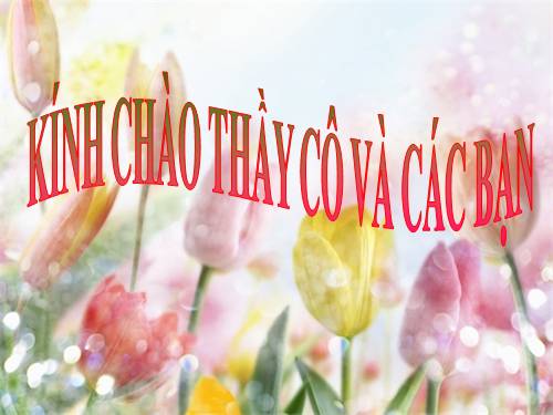 Luyện tập về câu nghi vấn tu từ