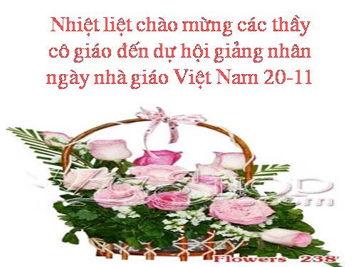 Tuần 12. Hạnh phúc của một tang gia