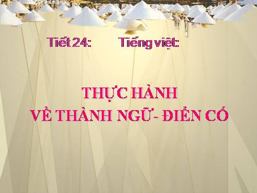 Tuần 6. Thực hành về thành ngữ, điển cố