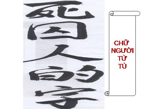 Tuần 11. Chữ người tử tù