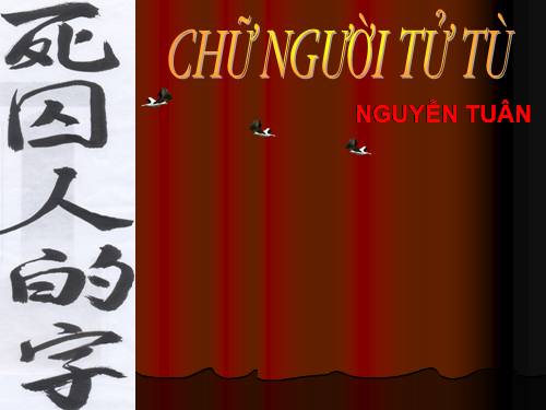 Tuần 11. Chữ người tử tù