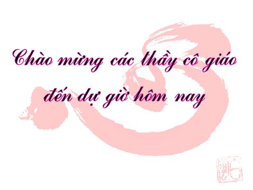 Tuần 11. Chữ người tử tù