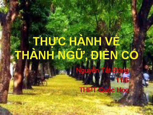 Tuần 6. Thực hành về thành ngữ, điển cố