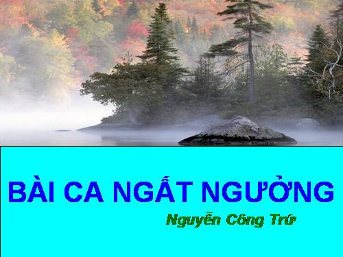 Tuần 4. Bài ca ngất ngưởng