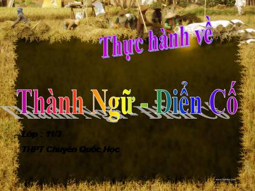 Tuần 6. Thực hành về thành ngữ, điển cố