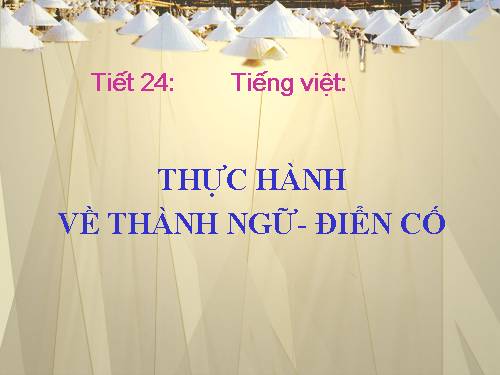 Tuần 6. Thực hành về thành ngữ, điển cố