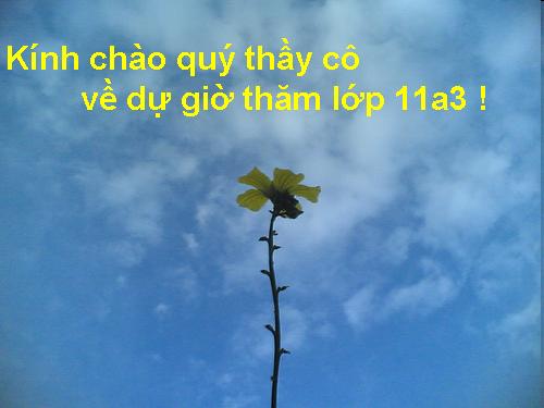 Tuần 23. Chiều tối (Mộ)