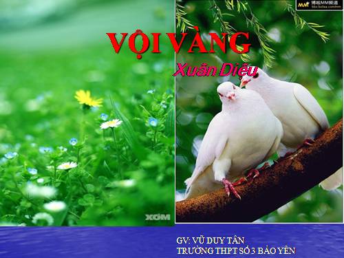 Tuần 21. Vội vàng