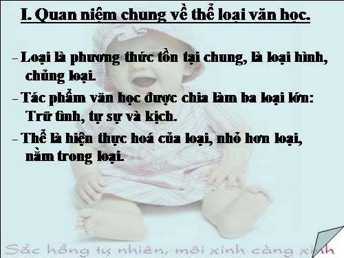 Tuần 13. Một số thể loại văn học: Thơ, truyện