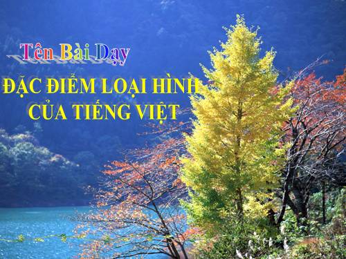 Tuần 25. Đặc điểm loại hình của Tiếng Việt