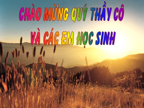 Tuần 12. Hạnh phúc của một tang gia