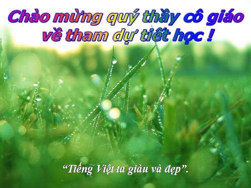 Tuần 25. Đặc điểm loại hình của Tiếng Việt