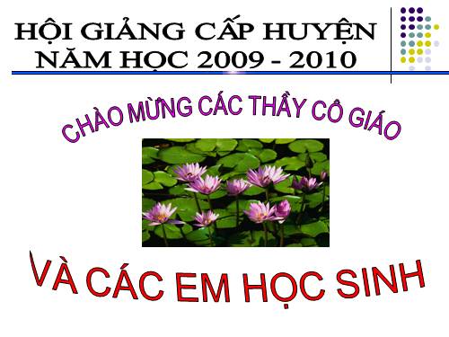 Tuần 25. Đặc điểm loại hình của Tiếng Việt