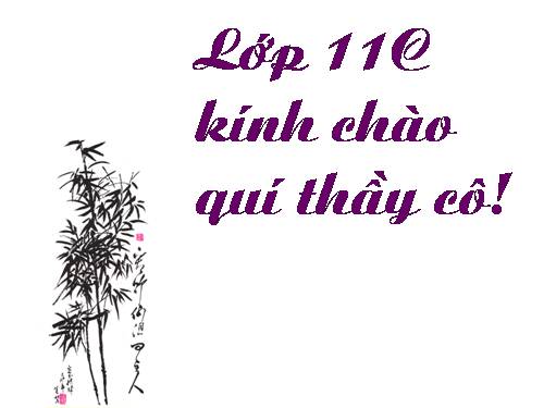 Tuần 11. Chữ người tử tù