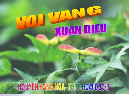 Tuần 21. Vội vàng