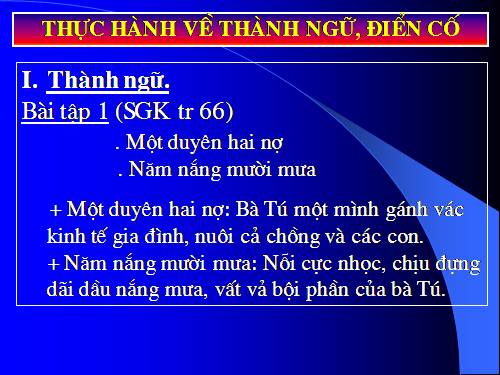 Tuần 6. Thực hành về thành ngữ, điển cố