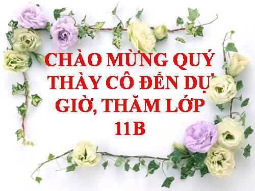 Tuần 12. Hạnh phúc của một tang gia