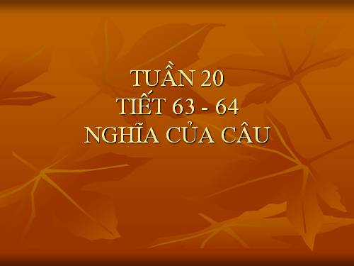 Tuần 19. Nghĩa của câu