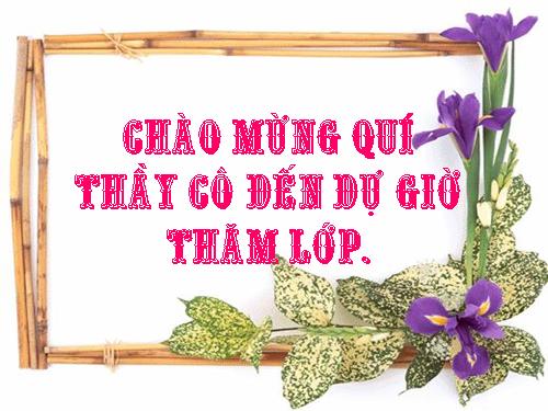 Tuần 12. Hạnh phúc của một tang gia