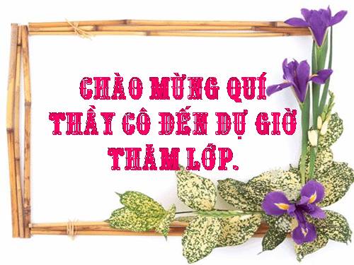 Tuần 12. Hạnh phúc của một tang gia