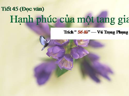 Tuần 12. Hạnh phúc của một tang gia