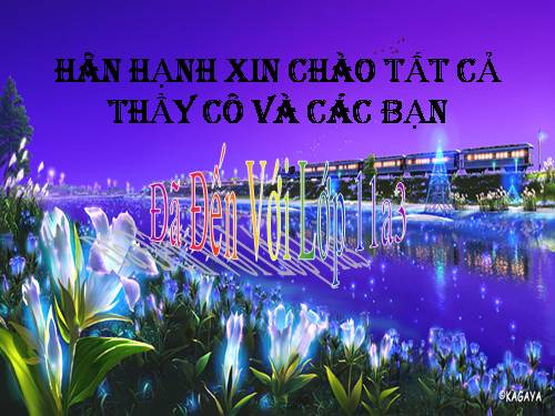 Tuần 12. Hạnh phúc của một tang gia