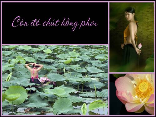 Còn đó chút hồng phai