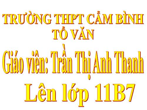 Tuần 27. Người trong bao