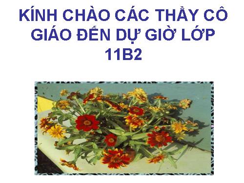 Tuần 11. Chữ người tử tù