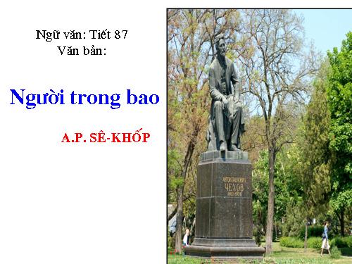 Tuần 27. Người trong bao