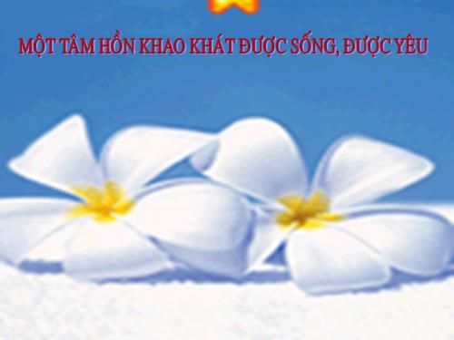 Tuần 23. Đây thôn Vĩ Dạ