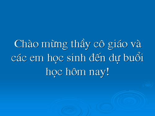 Tuần 25. Đặc điểm loại hình của Tiếng Việt