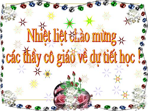 Tuần 27. Người trong bao